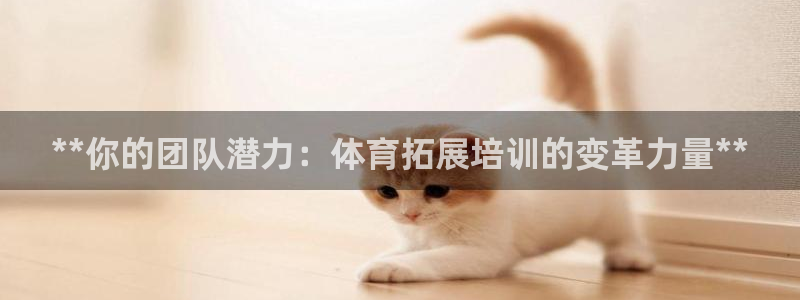 欧陆娱乐不让提现怎么办：**你的团队潜力：体育拓展培训的变革