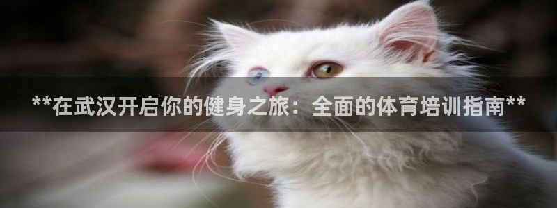 欧陆游戏平台：**在武汉开启你的健身之旅：全面的体育培训指南