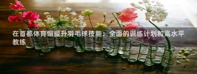 重庆欧陆娱乐有限公司怎么样：在首都体育馆提升羽毛球技能：全面
