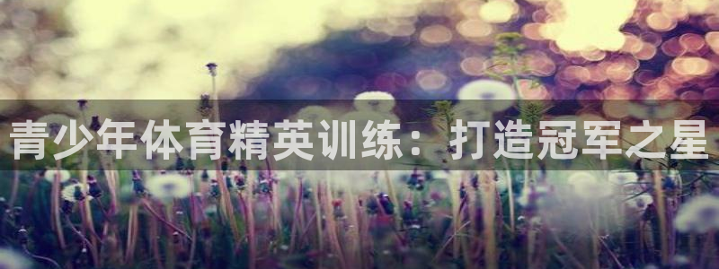 欧陆娱乐平台官网：青少年体育精英训练：打造冠军之星