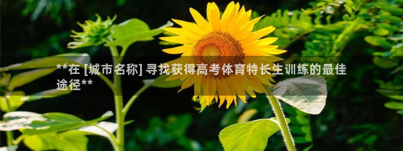欧陆娱乐怎么注册：**在 [城市名称] 寻找获得高考