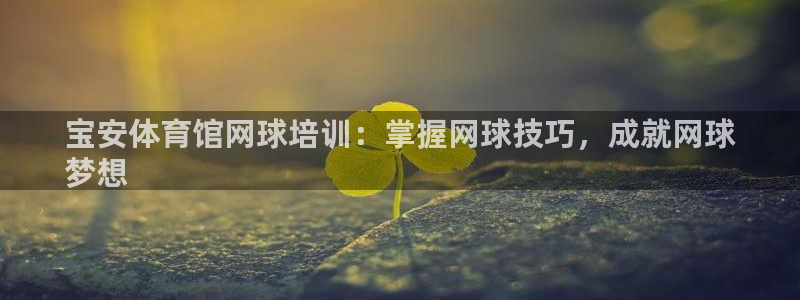 欧陆娱乐登录官网：宝安体育馆网球培训：掌握网球技巧，