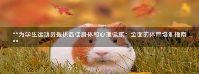 欧陆娱乐游戏：**为学生运动员提供最佳身体和心理健康