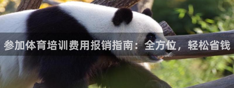 欧陆娱乐平台登录不上怎么办：参加体育培训费用报销指南