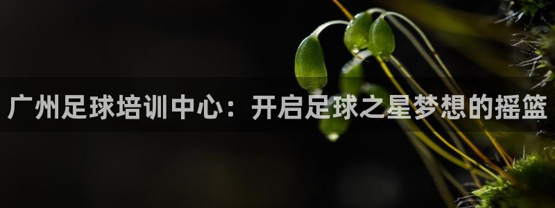 欧陆娱乐游戏特色：广州足球培训中心：开启足球之星梦想