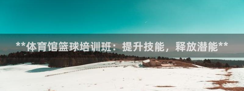 欧陆娱乐平台登录不上：**体育馆篮球培训班：提升技能
