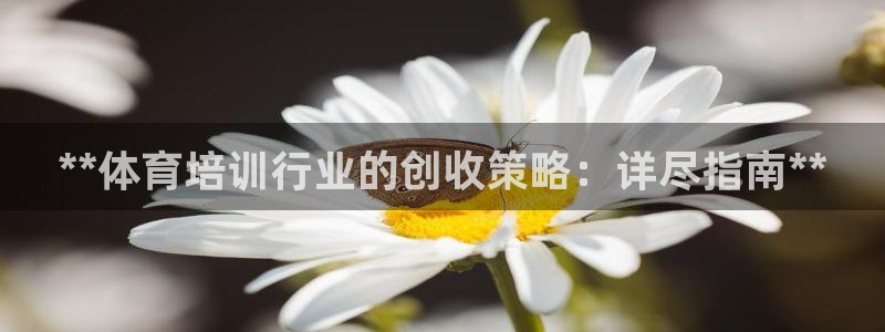 欧陆娱乐微信众：**体育培训行业的创收策略：详尽指南