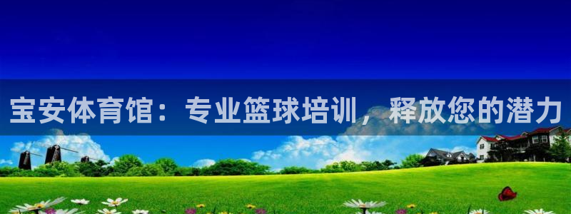 欧陆娱乐挂机项目：宝安体育馆：专业篮球培训，释放您的潜力