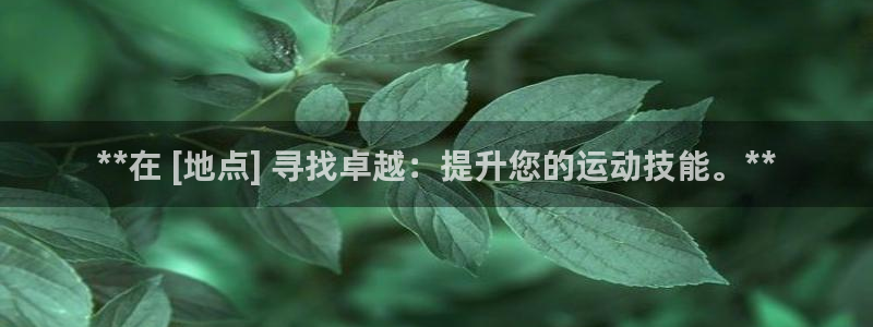 欧陆娱乐欧陆主管：**在 [地点] 寻找卓越：提升您的运动技