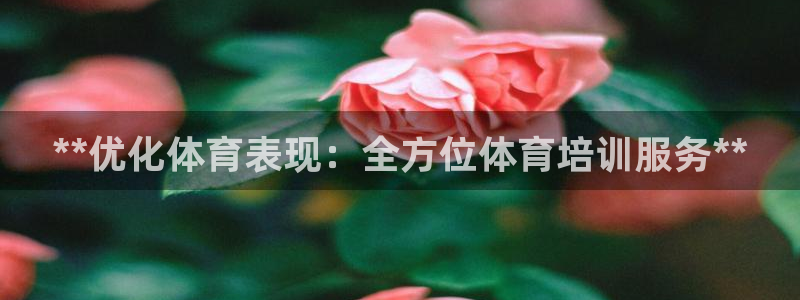 欧陆娱乐请输入USDT地址：**优化体育表现：全方位