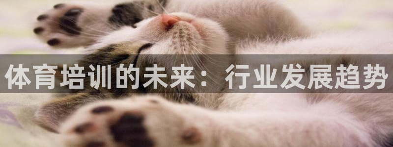 欧陆娱乐官网首页网址：体育培训的未来：行业发展趋势