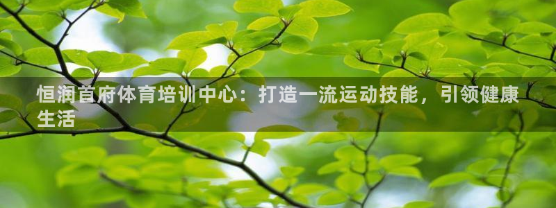 欧陆娱乐怎么注册会员：恒润首府体育培训中心：打造一流