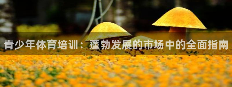 欧陆娱乐分分彩：青少年体育培训：蓬勃发展的市场中的全