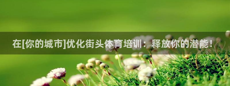 欧陆娱乐欧陆主管：在[你的城市]优化街头体育培训：释