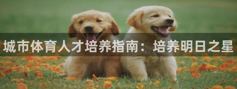 重庆欧陆娱乐有限公司：城市体育人才培养指南：培养明日之星