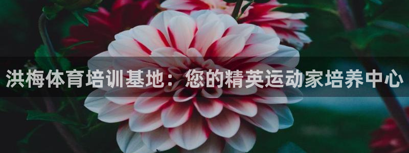 欧陆娱乐挂机怎么玩游戏：洪梅体育培训基地：您的精英运动家培养