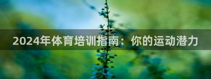 欧陆娱乐挂机怎么玩游戏：2024年体育培训指南：你的