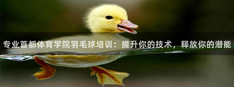 欧陆娱乐官网入口下载：专业首都体育学院羽毛球培训：提升你的技
