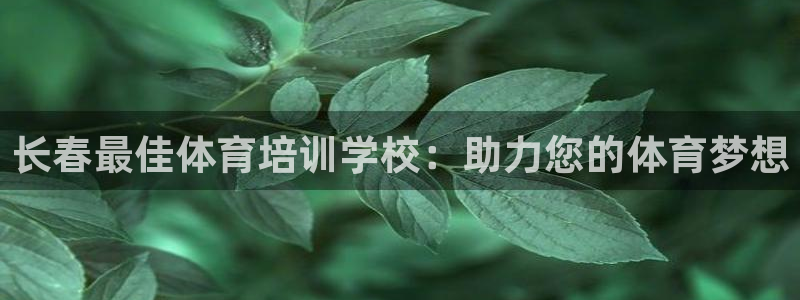 欧陆娱乐百科大全：长春最佳体育培训学校：助力您的体育梦想