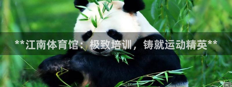 欧陆娱乐注册链接怎么弄出来：**江南体育馆：极致培训